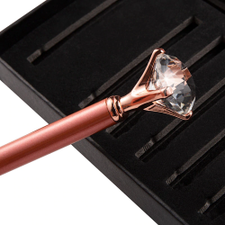 Penselset med 10 stk.